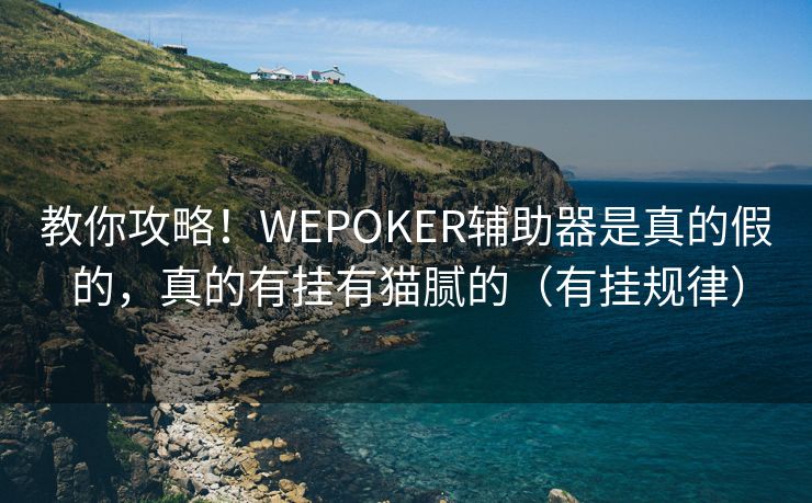 教你攻略！WEPOKER辅助器是真的假的，真的有挂有猫腻的（有挂规律）