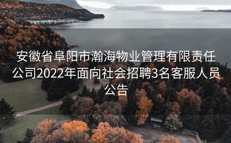 安徽省阜阳市瀚海物业管理有限责任公司2022年面向社会招聘3名客服人员公告