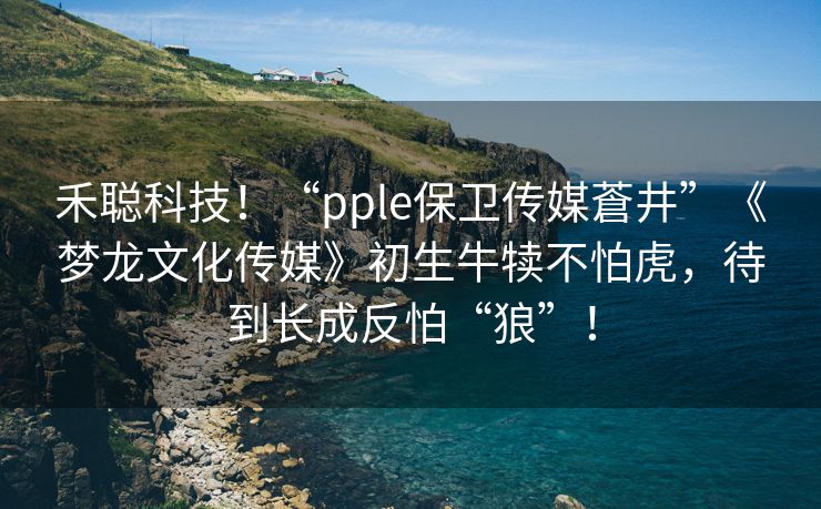 禾聪科技！“pple保卫传媒蒼井”《梦龙文化传媒》初生牛犊不怕虎，待到长成反怕“狼”！