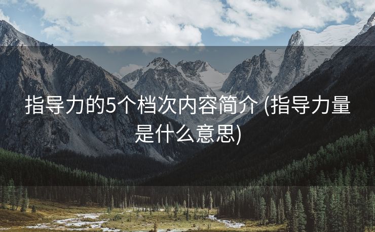 指导力的5个档次内容简介 (指导力量是什么意思)