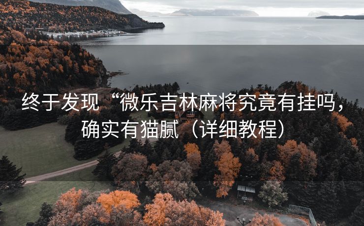 终于发现“微乐吉林麻将究竟有挂吗，确实有猫腻（详细教程）