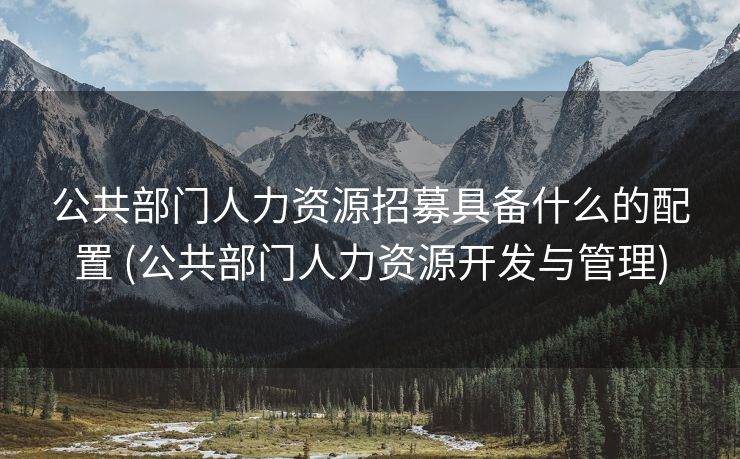 公共部门人力资源招募具备什么的配置 (公共部门人力资源开发与管理)