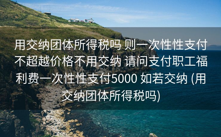 用交纳团体所得税吗 则一次性性支付不超越价格不用交纳 请问支付职工福利费一次性性支付5000 如若交纳 (用交纳团体所得税吗)