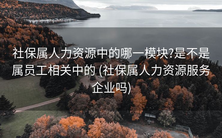 社保属人力资源中的哪一模块?是不是属员工相关中的 (社保属人力资源服务企业吗)