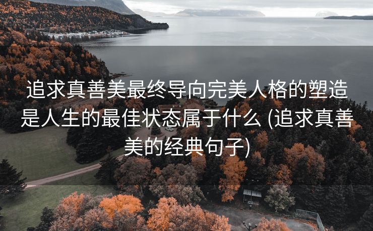 追求真善美最终导向完美人格的塑造是人生的最佳状态属于什么 (追求真善美的经典句子)