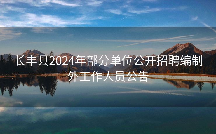 长丰县2024年部分单位公开招聘编制外工作人员公告