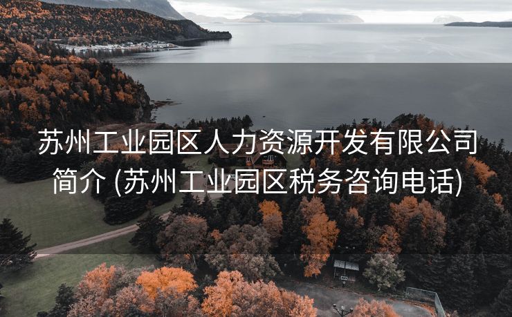 苏州工业园区人力资源开发有限公司简介 (苏州工业园区税务咨询电话)