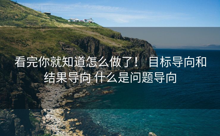 看完你就知道怎么做了！ 目标导向和结果导向 什么是问题导向