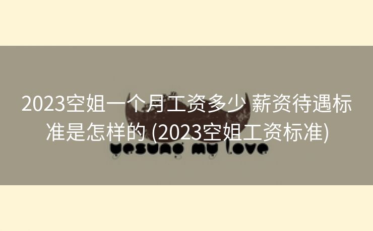 2023空姐一个月工资多少 薪资待遇标准是怎样的 (2023空姐工资标准)