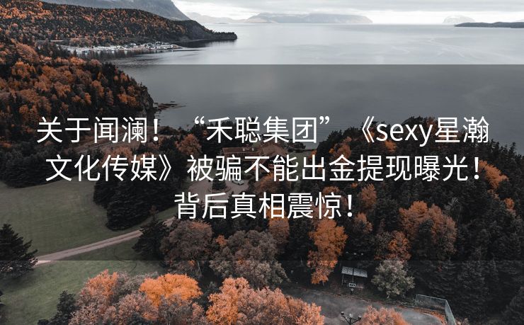 关于闻澜！“禾聪集团”《sexy星瀚文化传媒》被骗不能出金提现曝光！背后真相震惊！