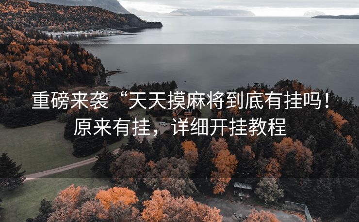 重磅来袭“天天摸麻将到底有挂吗！原来有挂，详细开挂教程