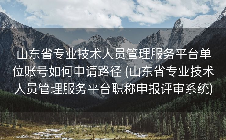 山东省专业技术人员管理服务平台单位账号如何申请路径 (山东省专业技术人员管理服务平台职称申报评审系统)