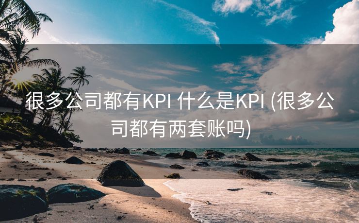 很多公司都有KPI 什么是KPI (很多公司都有两套账吗)