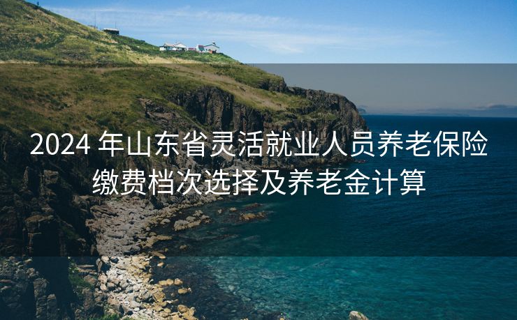 2024 年山东省灵活就业人员养老保险缴费档次选择及养老金计算