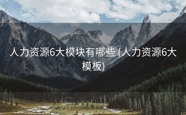 人力资源6大模块有哪些 (人力资源6大模板)