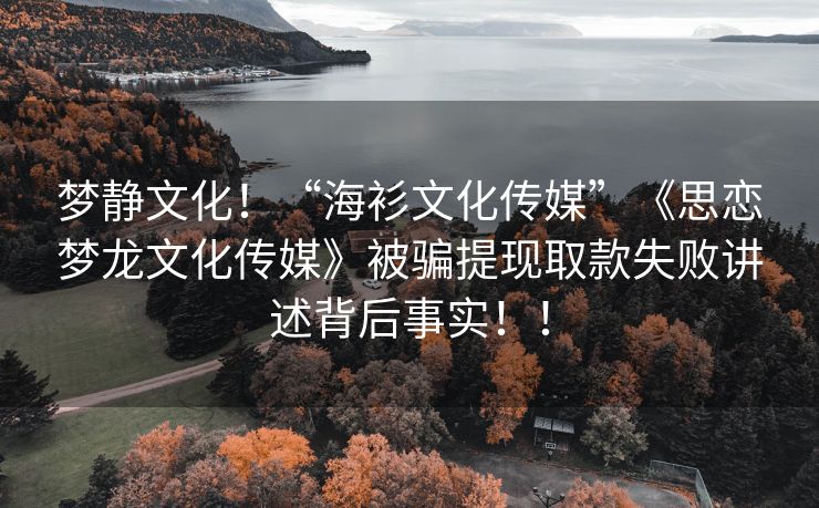 梦静文化！“海衫文化传媒”《思恋梦龙文化传媒》被骗提现取款失败讲述背后事实！！