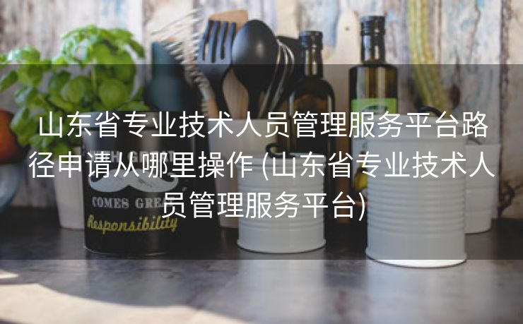 山东省专业技术人员管理服务平台路径申请从哪里操作 (山东省专业技术人员管理服务平台)