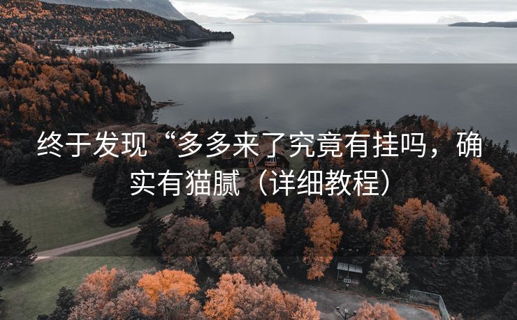 终于发现“多多来了究竟有挂吗，确实有猫腻（详细教程）