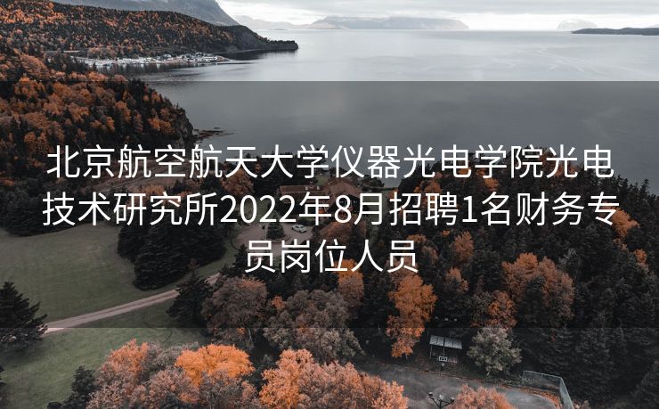 北京航空航天大学仪器光电学院光电技术研究所2022年8月招聘1名财务专员岗位人员