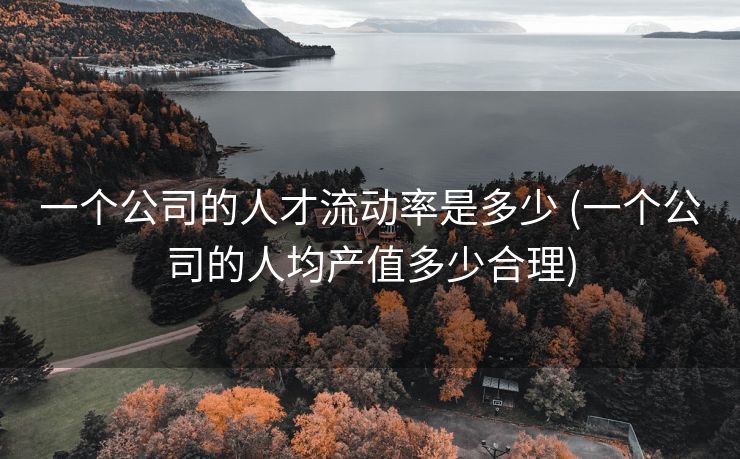 一个公司的人才流动率是多少 (一个公司的人均产值多少合理)