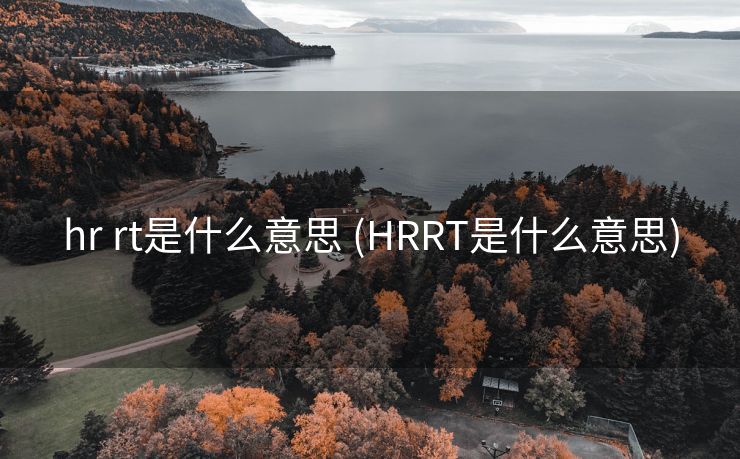 hr rt是什么意思 (HRRT是什么意思)