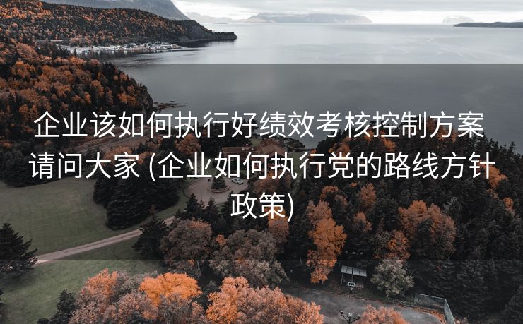 企业该如何执行好绩效考核控制方案 请问大家 (企业如何执行党的路线方针政策)