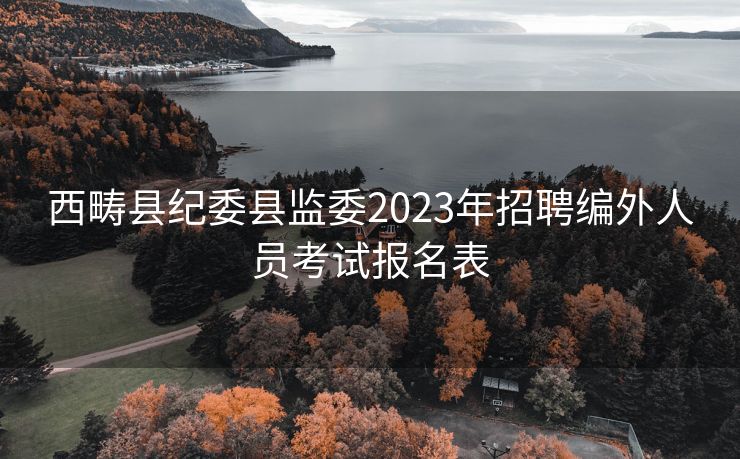 西畴县纪委县监委2023年招聘编外人员考试报名表