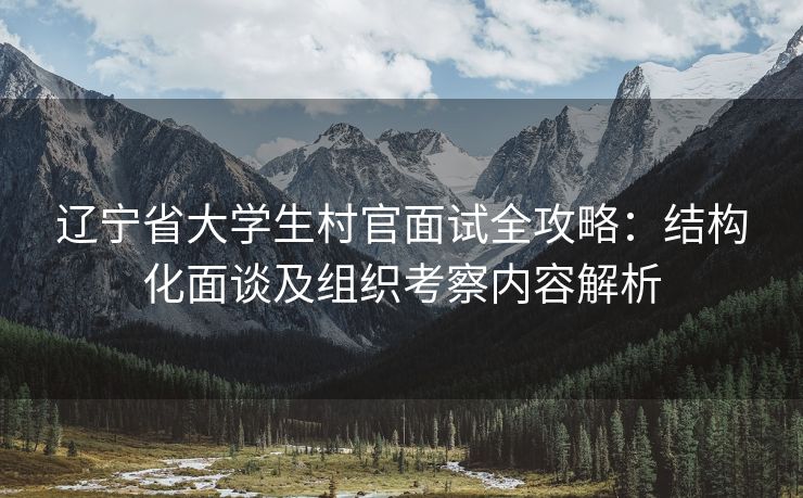 辽宁省大学生村官面试全攻略：结构化面谈及组织考察内容解析