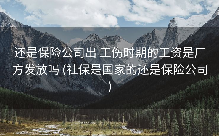 还是保险公司出 工伤时期的工资是厂方发放吗 (社保是国家的还是保险公司)