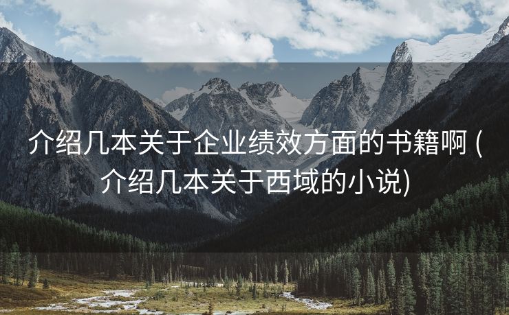 介绍几本关于企业绩效方面的书籍啊 (介绍几本关于西域的小说)