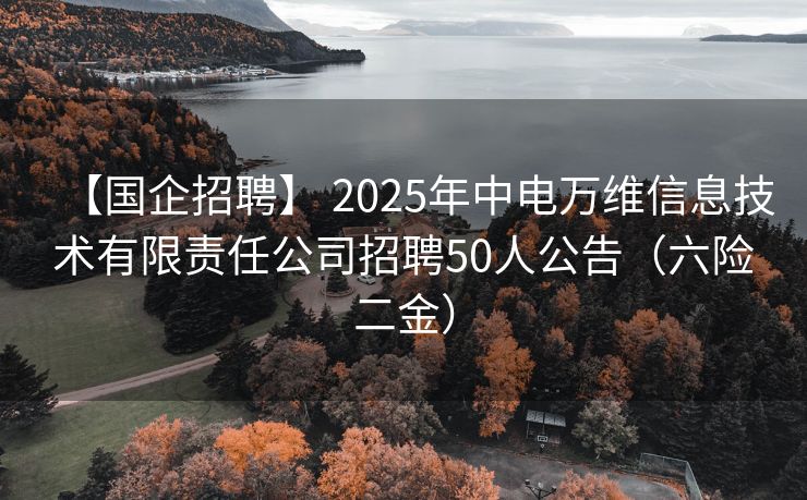 【国企招聘】 2025年中电万维信息技术有限责任公司招聘50人公告（六险二金）