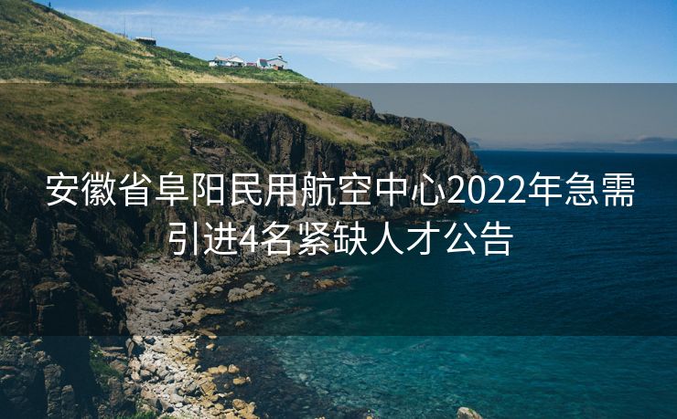 安徽省阜阳民用航空中心2022年急需引进4名紧缺人才公告