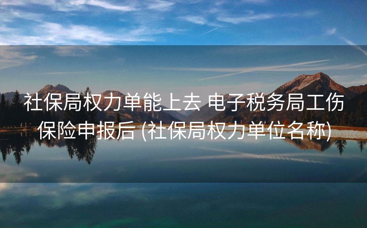 社保局权力单能上去 电子税务局工伤保险申报后 (社保局权力单位名称)