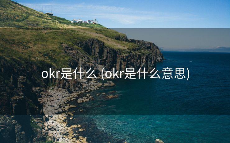 okr是什么 (okr是什么意思)