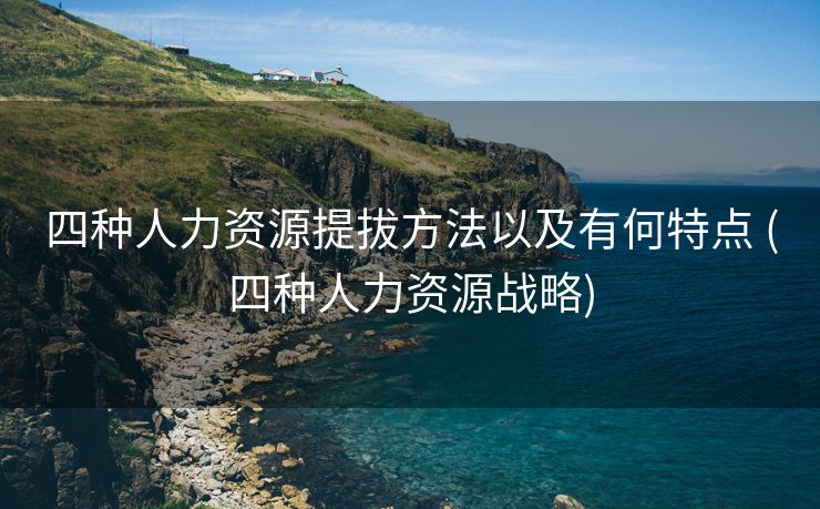 四种人力资源提拔方法以及有何特点 (四种人力资源战略)