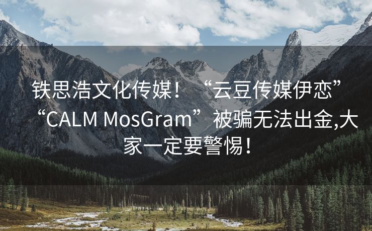 铁思浩文化传媒！“云豆传媒伊恋”“CALM MosGram”被骗无法出金,大家一定要警惕！