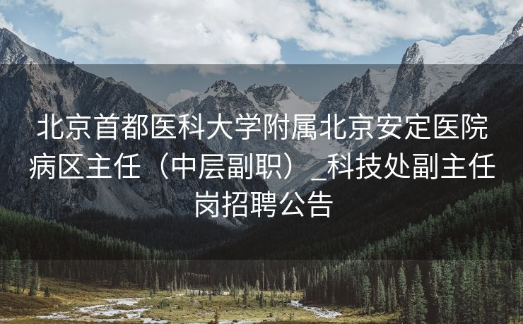 北京首都医科大学附属北京安定医院病区主任（中层副职）_科技处副主任岗招聘公告