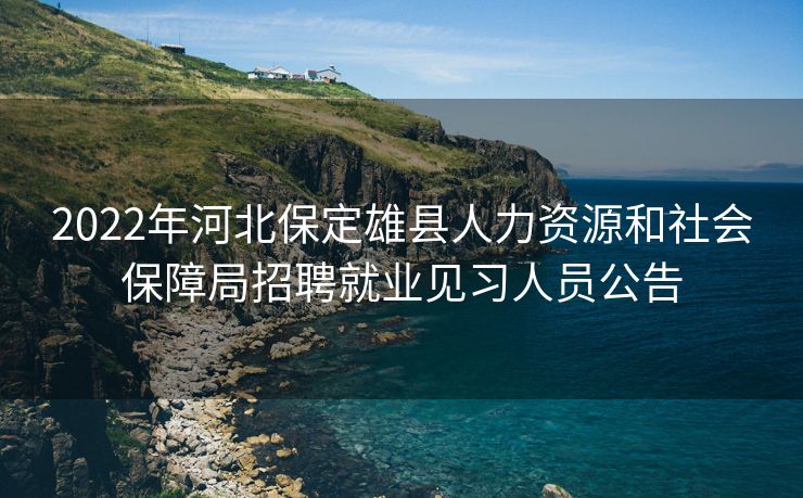 2022年河北保定雄县人力资源和社会保障局招聘就业见习人员公告