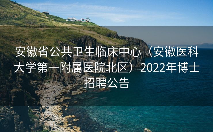 安徽省公共卫生临床中心（安徽医科大学第一附属医院北区）2022年博士招聘公告