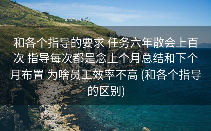 和各个指导的要求 任务六年散会上百次 指导每次都是念上个月总结和下个月布置 为啥员工效率不高 (和各个指导的区别)