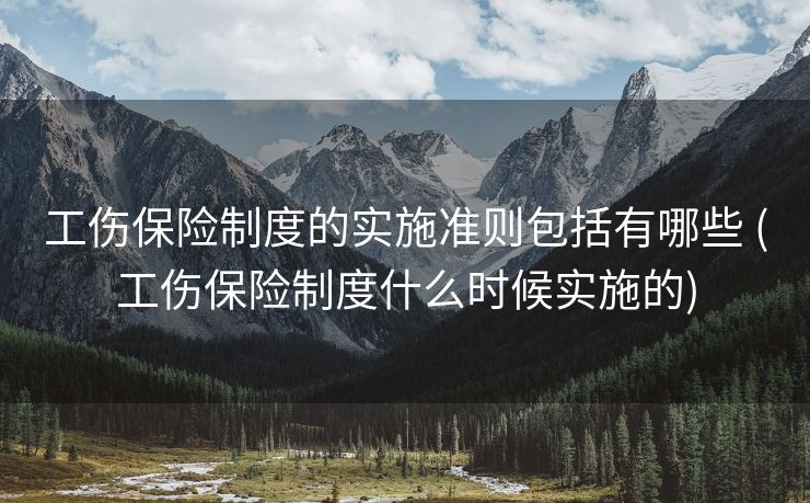 工伤保险制度的实施准则包括有哪些 (工伤保险制度什么时候实施的)