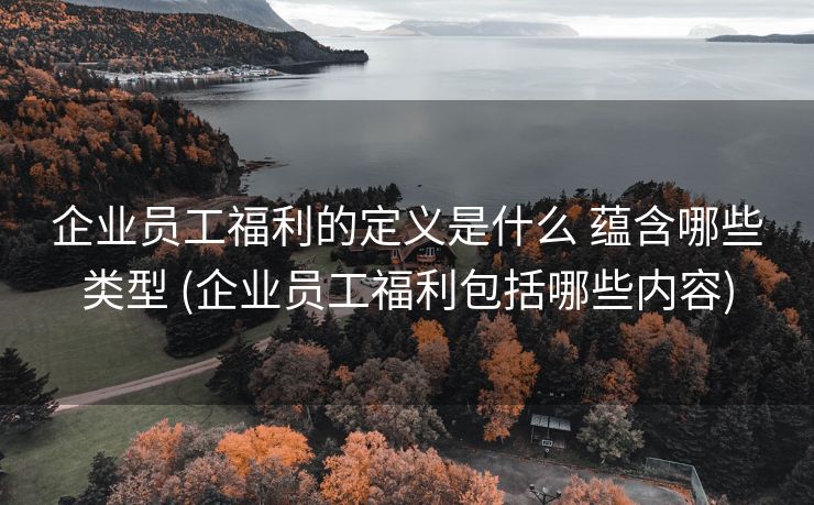 企业员工福利的定义是什么 蕴含哪些类型 (企业员工福利包括哪些内容)