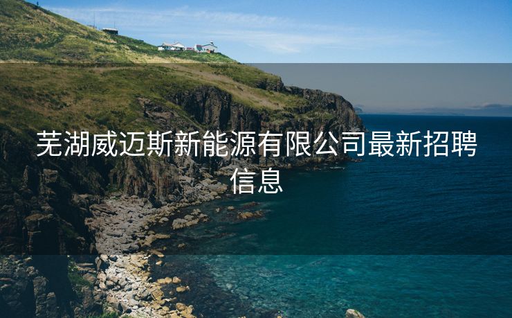 芜湖威迈斯新能源有限公司最新招聘信息