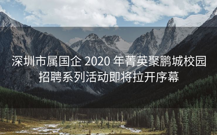 深圳市属国企 2020 年菁英聚鹏城校园招聘系列活动即将拉开序幕