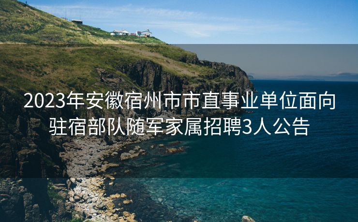 2023年安徽宿州市市直事业单位面向驻宿部队随军家属招聘3人公告