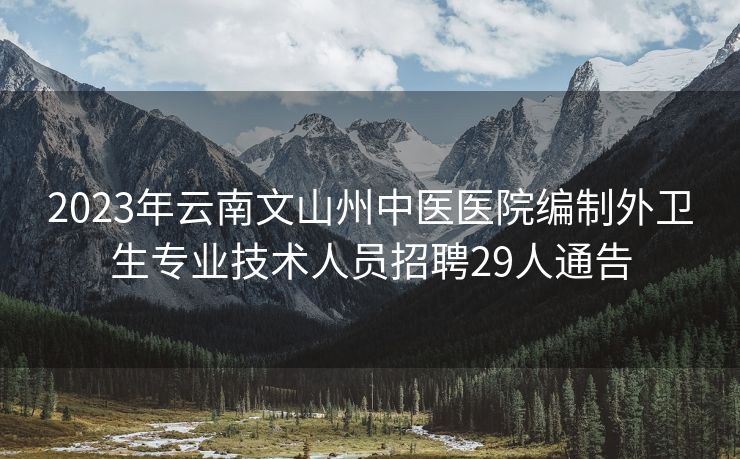 2023年云南文山州中医医院编制外卫生专业技术人员招聘29人通告