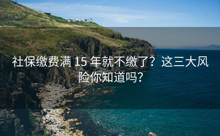 社保缴费满 15 年就不缴了？这三大风险你知道吗？