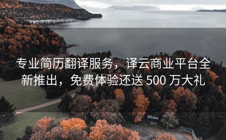 专业简历翻译服务，译云商业平台全新推出，免费体验还送 500 万大礼