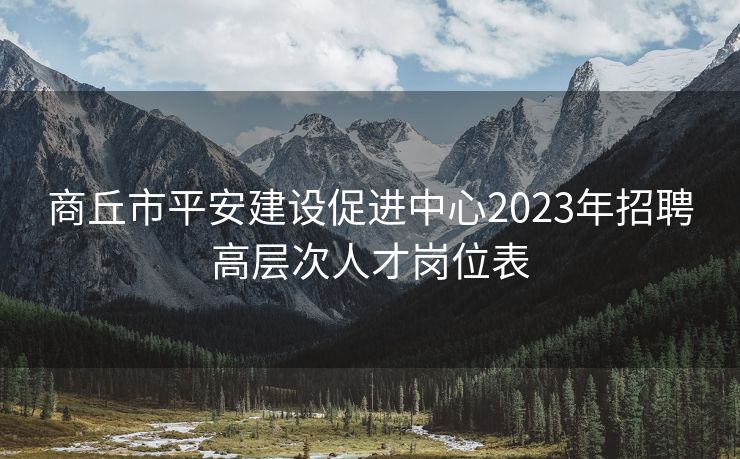 商丘市平安建设促进中心2023年招聘高层次人才岗位表