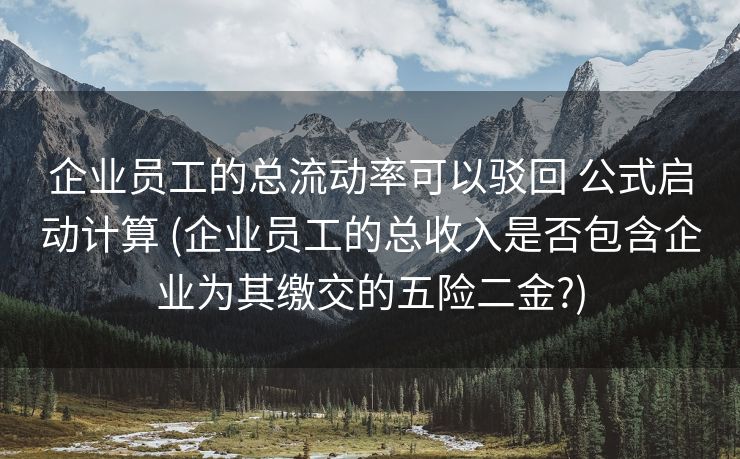 企业员工的总流动率可以驳回 公式启动计算 (企业员工的总收入是否包含企业为其缴交的五险二金?)